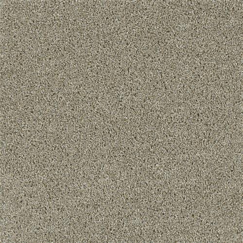 Carpet in Rockville, MD