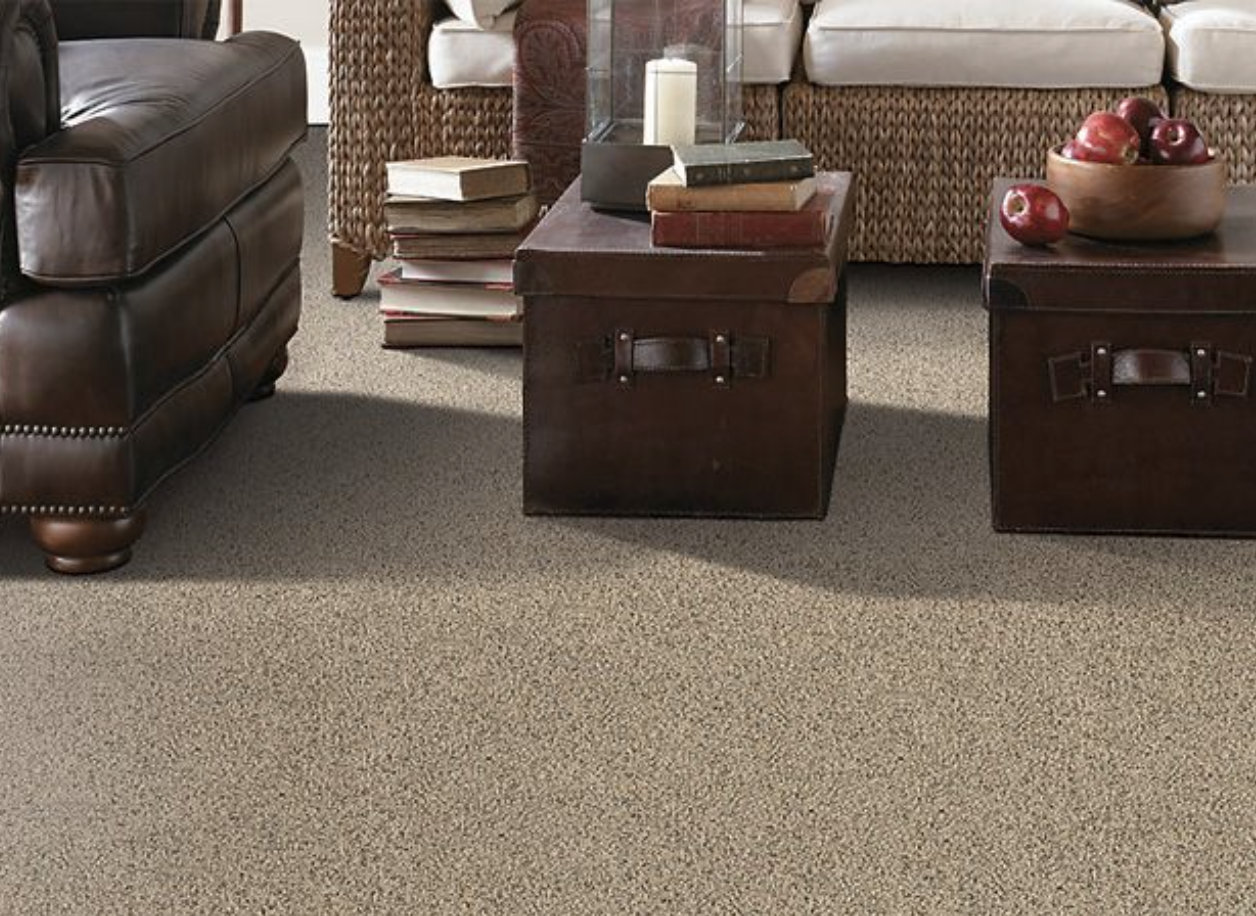 Carpet in Sachse, TX from Ted's Floor & Decor